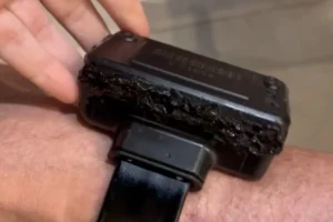 Bolsonaro Metropoles