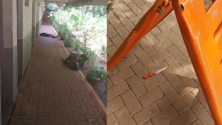 PM identifica vítima e autor de feminicídio no Bosque dos Buritis em Goiânia 2 Foto de Capa 59 1024x576 1 768x432 1