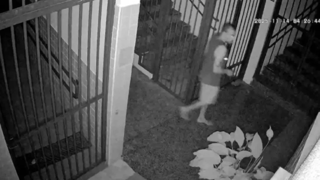 IMAGENS 2025 11 15T104306.266