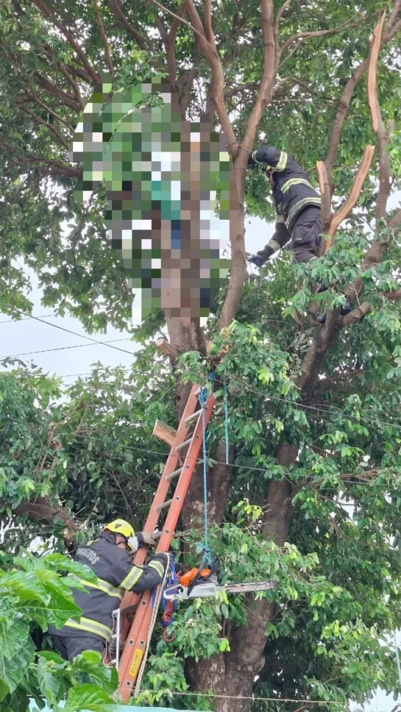 WhatsApp Image 2025 11 09 at 17.39.53 1