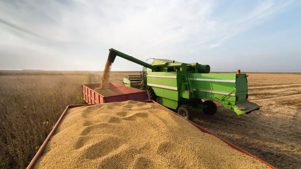 Agropecuária foi destaque com alta expressiva de 15,1% | Foto: divulgação