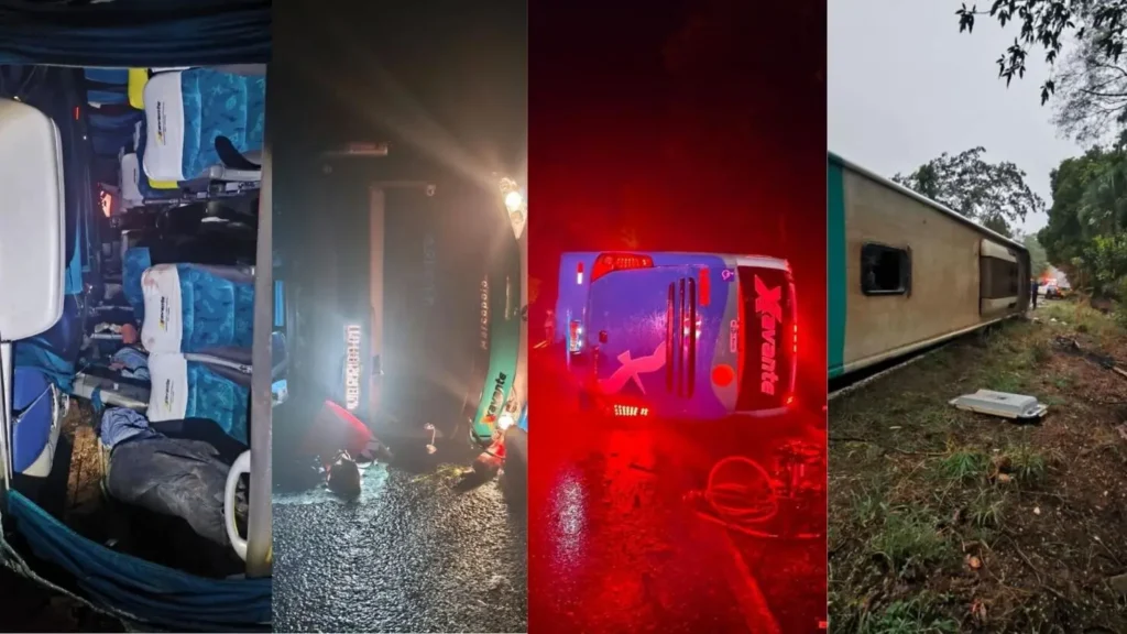 capa 2025 11 03T095825.256