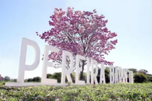 entrada pereira barreto