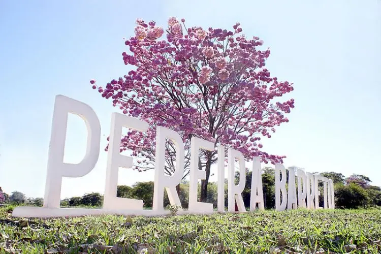 entrada pereira barreto