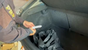 canetas emagrecedoras