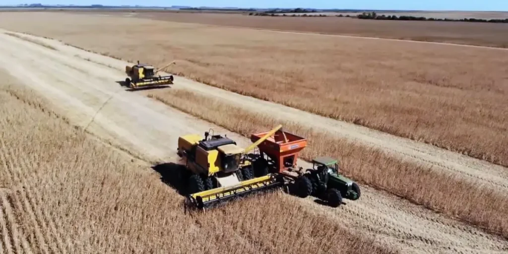 05.06 OMESC AGRO abb 1200x600 c default