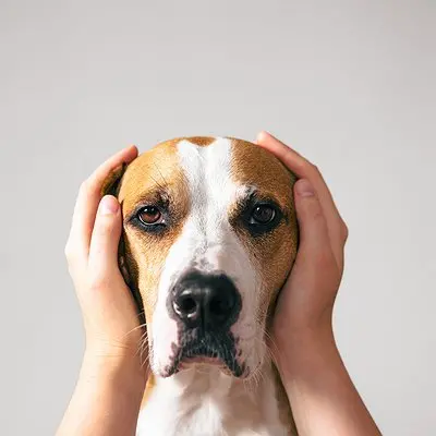 20220713145853.jpg.400x400 q85 box 23801074836 crop detail