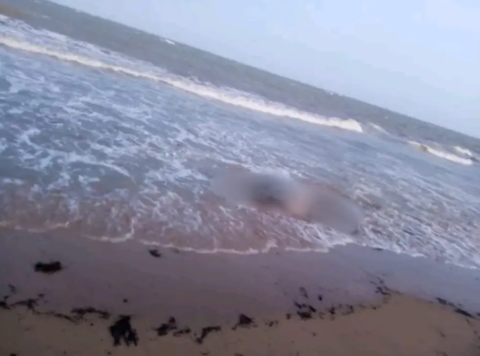 Petro denuncia descoberta de corpos no mar e liga a ataques dos EUA 2 petro