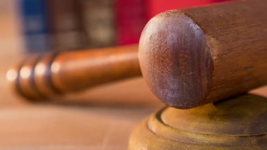 IMAGENS 2025 12 21T093808.693