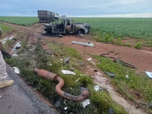 WhatsApp Image 2025 12 08 at 12.43.50