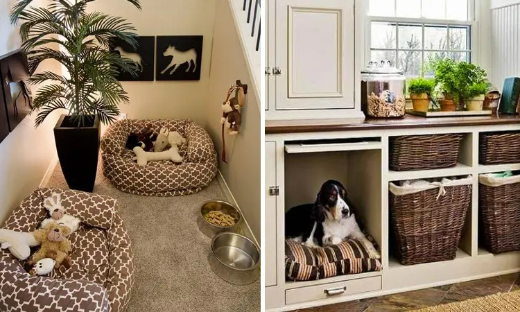 Fogos de artifício exigem cuidados redobrados com pets 4 Fogos de artifício