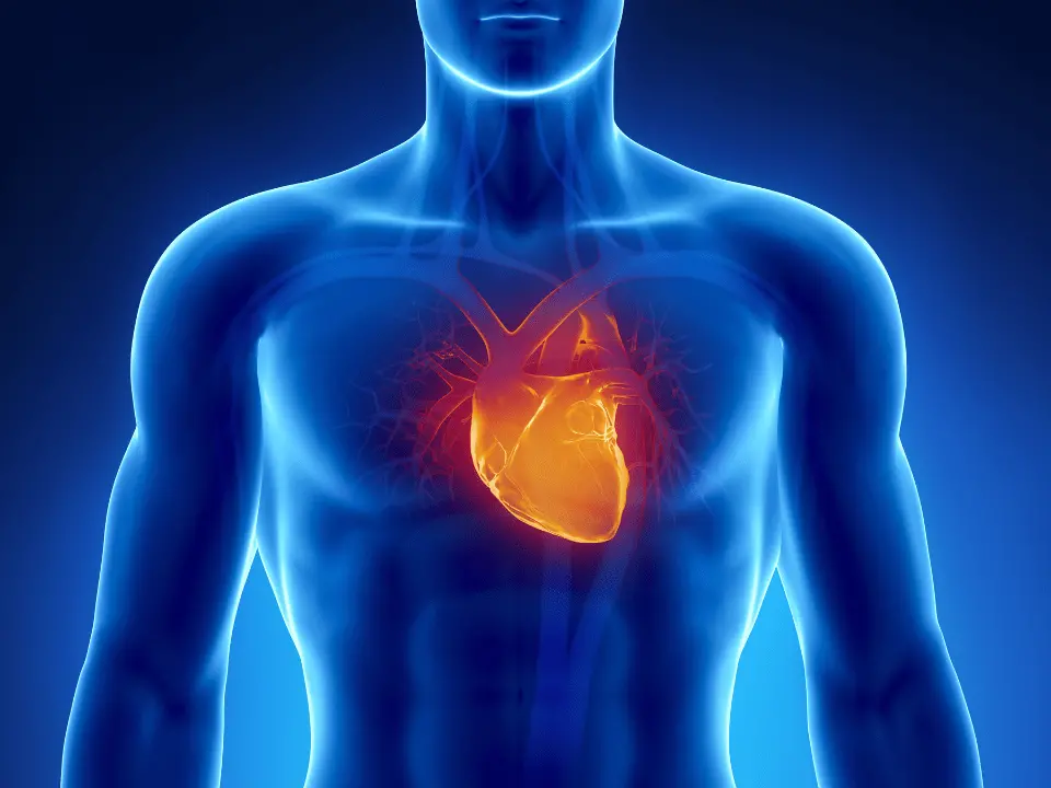 Risco cardiovascular