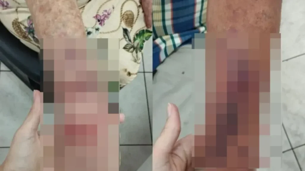 whatsapp image 2025 12 20 at 14 42 02 1200x675 1