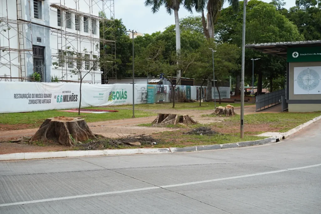 10 abre Arvores cortadas na Praca Civica Foto Gabriel Louza O HOJE 1