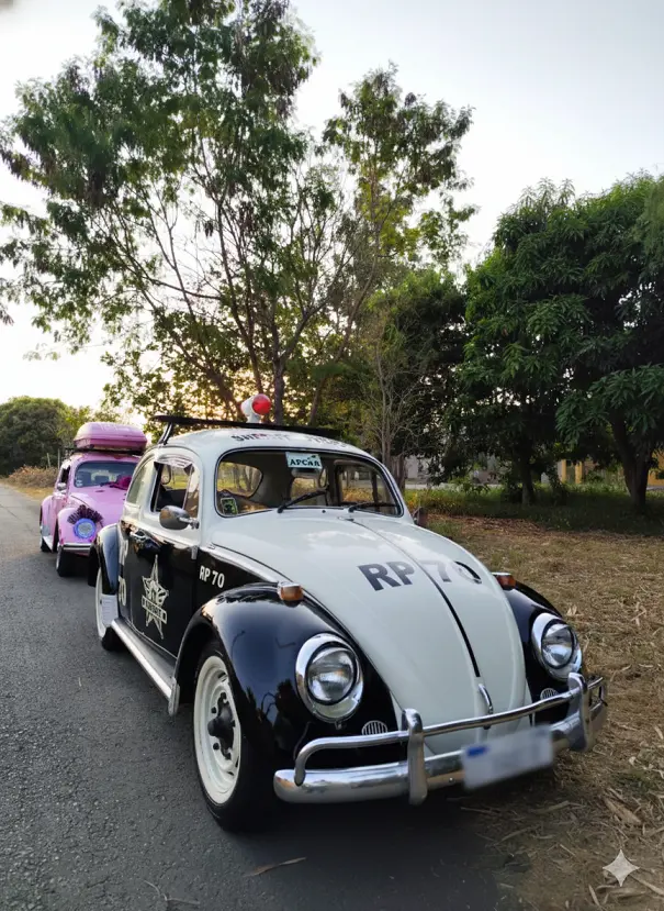 Confraria de Carros Antigos 