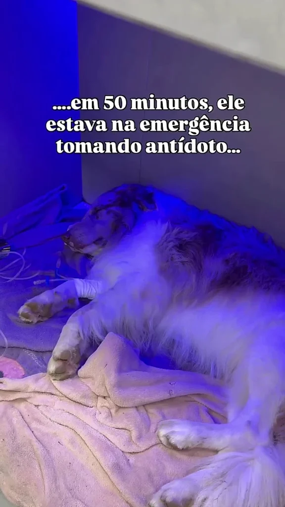 660x0 1769202512 6973e3501808e hd