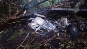 Acidente na BR-153 seguido de incêndio em caminhão deixa duas vítimas fatais 