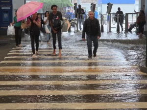 WhatsApp Image 2026 01 07 at 18.06.03