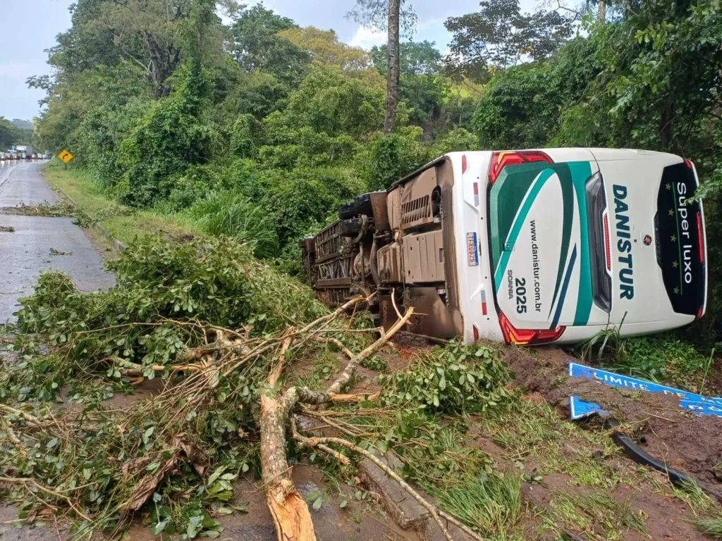 WhatsApp Image 2026 01 26 at 18.35.48 1