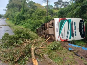 WhatsApp Image 2026 01 26 at 18.35.48 1