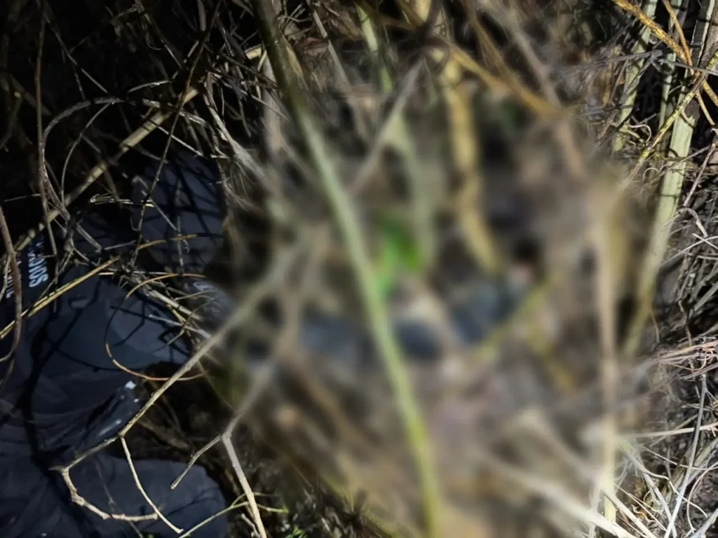 WhatsApp Image 2026 01 28 at 07.08.26