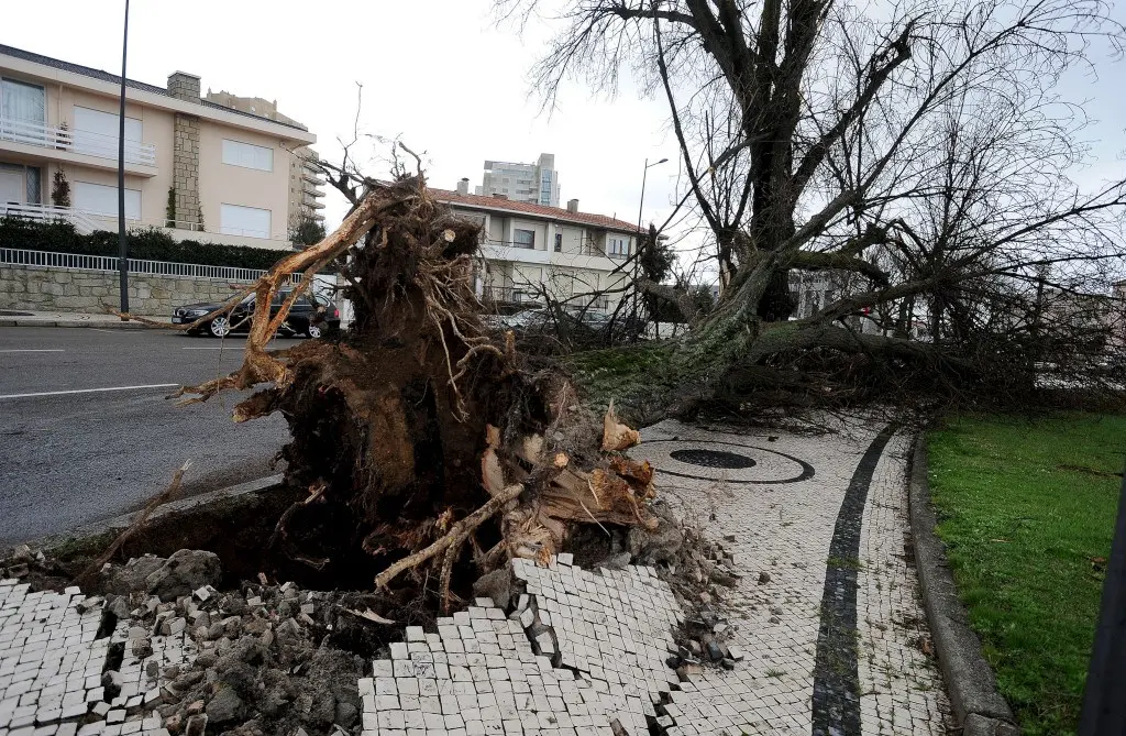 Tempestade Kristin deixa 5 mortos em Portugal e causa apagão para quase meio milhão de pessoas 2 Portugual