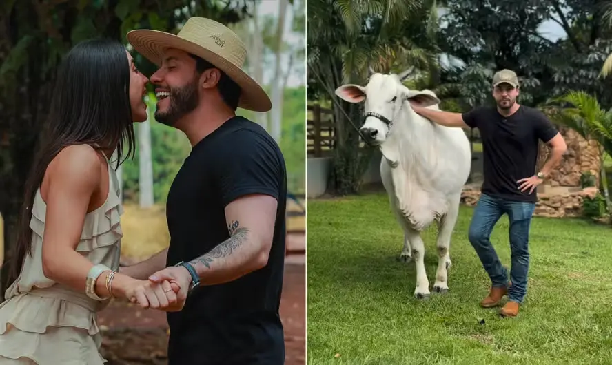 Bezerra como presente