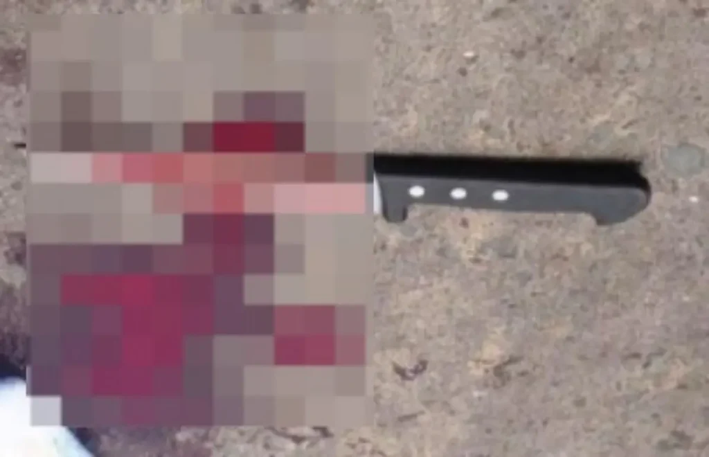 whatsapp image 2026 01 15 at 09 50 43