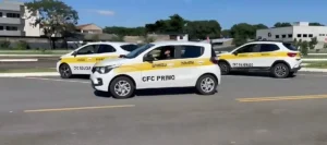 11 abre Detran GO credencia instrutores autonomos de transito Foto Divulgacao Detran Goias e1771525313553