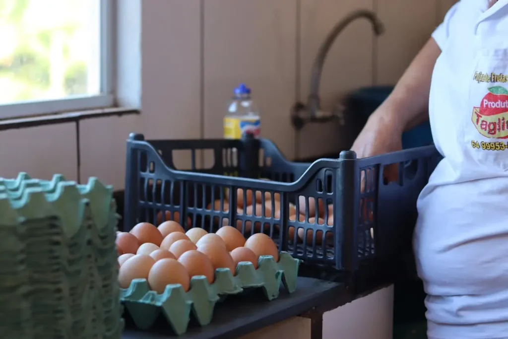 3debc0b1 3162 4c66 9f10 764ece7c9c3d