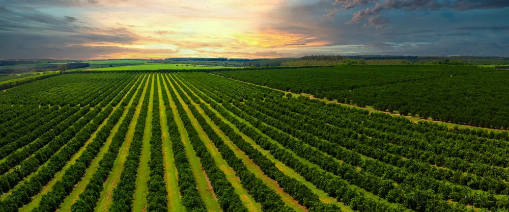 6641a5c0442105a09d4777e894486cf2