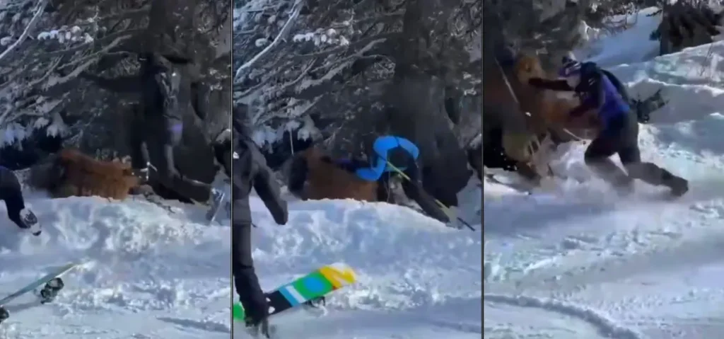 Brasileiro espancado