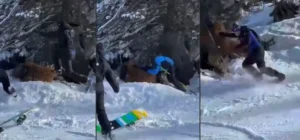 Brasileiro espancado