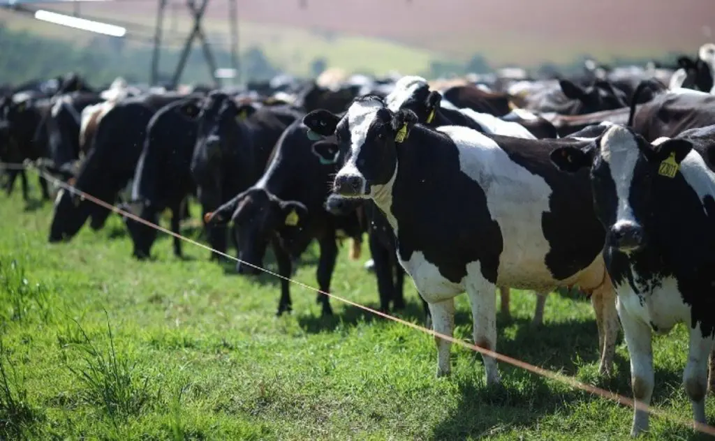 EDN 1 128 1024x632 1