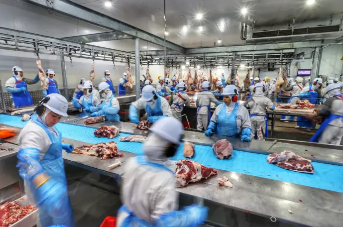 SGG INDUSTRIA GOIANA FRIGORIFICO