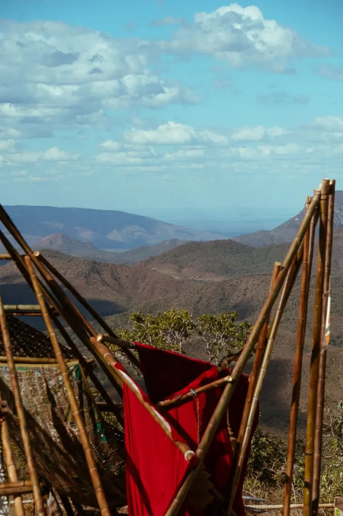 WhatsApp Image 2026 02 11 at 14.28.55 3