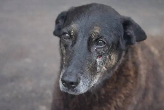 ba98f857 5605 44f2 9f74 9b541b4ea892