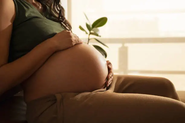 istockphoto 1766632040 612x612 1