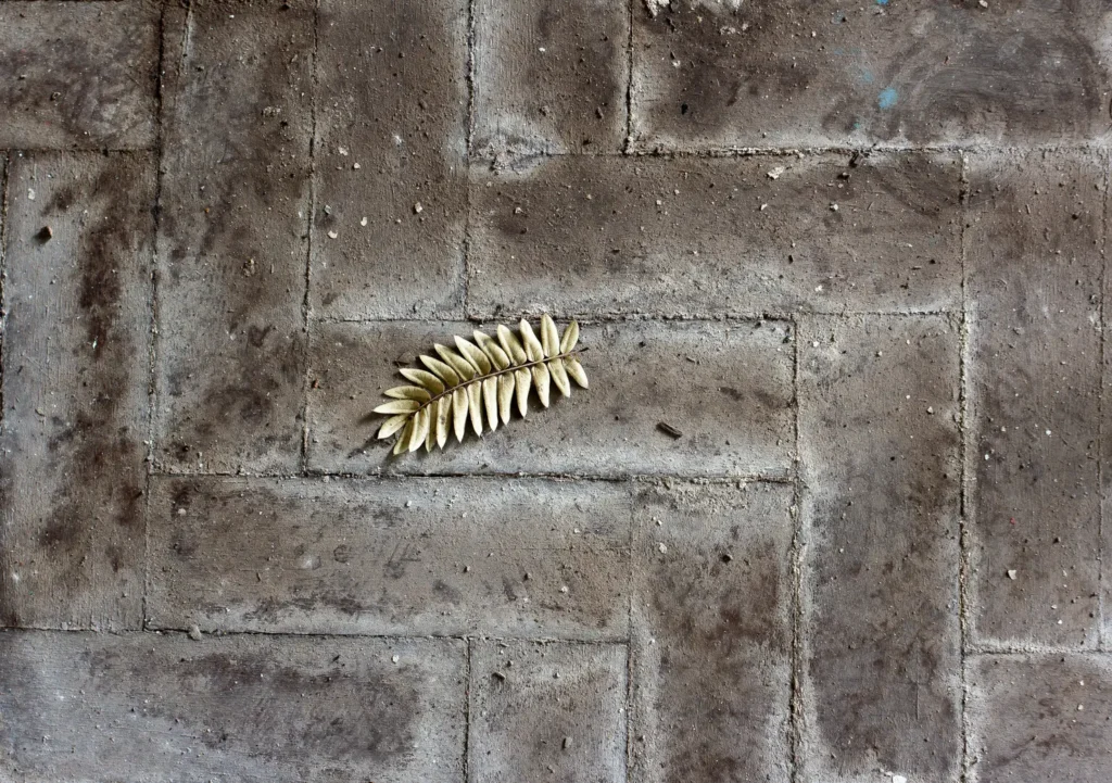 exposição de arte, folha no chão