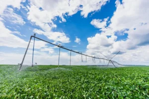 0TxJVkT7gHyRRyCZJ1skAopmgO XYEYcWCAGMNrfHpMq3cnWsIYgnJkmZ9vAoFIrbaIeBY2yfJOFJcsJe4mzwvPb1uUzjPRofMeTGtsGwAM