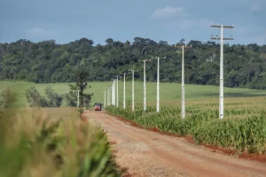 Area rural com postes de energia