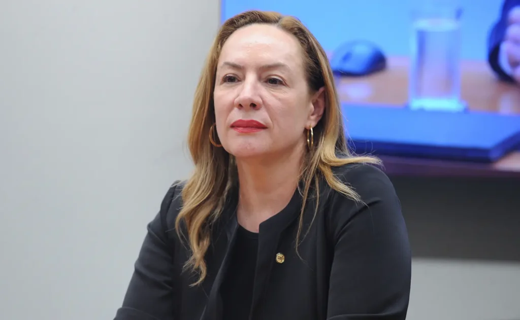 Deputada Adriana Accorsi