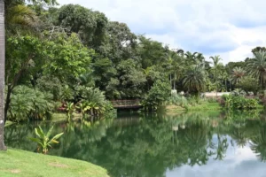 parque (Goiânia estuda criar parque zoobotânico inspirado em Inhotim)