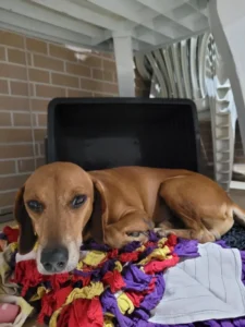 d759307a 9c98 4797 9a4d 30122f555ad7 3