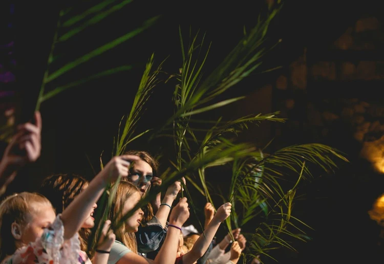 Ramos (Domingo de Ramos: entenda o significado)