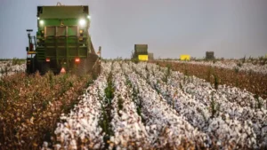4 abre Agro goiano Foto Wenderson Araujo CNA
