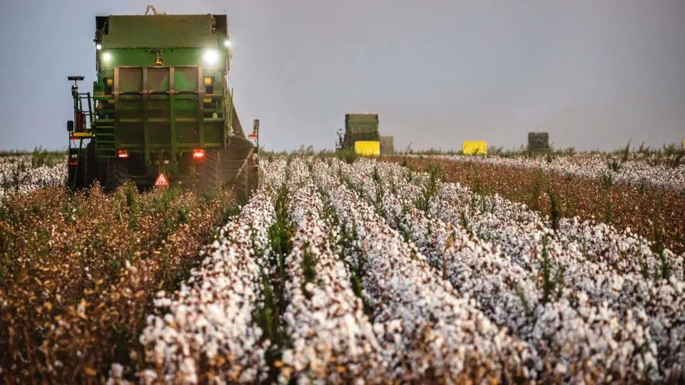 4 abre Agro goiano Foto Wenderson Araujo CNA