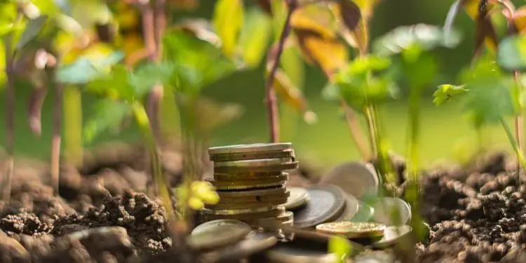 Crédito de R$ 10 bi em máquinas agrícolas depende de condições viáveis