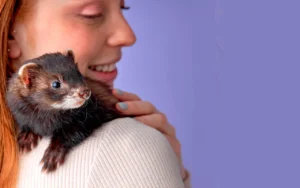 7fc75555 4b07 4071 9942 003945e1c877