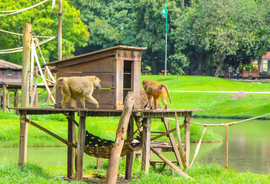 9175f792606cb62c5ed5bae812a033c0